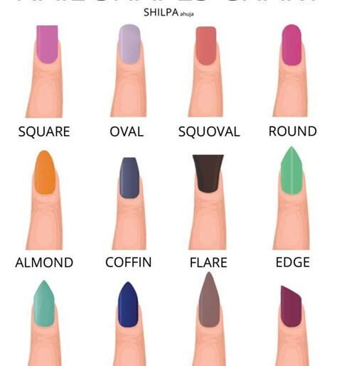 Understanding Different Nail Types: Oval, Square, Stiletto, and more